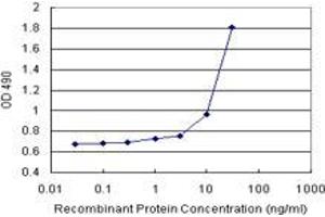 Sandwich ELISA detection sensitivity ranging from 1 ng/mL to 100 ng/mL. (CALML5 (Humain) Matched Antibody Pair)