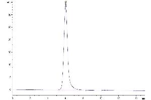 The purity of Human CD24 is greater than 95 % as determined by SEC-HPLC. (CD24 Protein (AA 27-59) (mFc Tag))