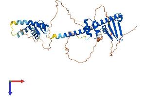 AlphaFold protein structure predicition of Human Recombinant TFDP3 Protein, UniprotID Q5H9I0