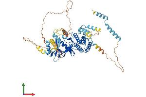 AlphaFold protein structure predicition of Human Recombinant RIOK1 Protein, UniprotID Q9BRS2