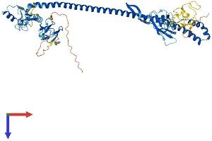 AlphaFold protein structure predicition of Human Recombinant TRIM45 Protein, UniprotID Q9H8W5