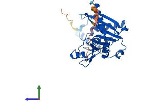 AlphaFold protein structure predicition of Human Recombinant ENDOV Protein, UniprotID Q8N8Q3