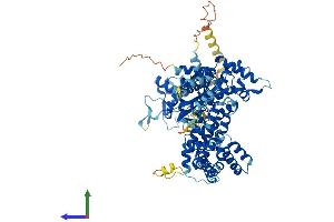 AlphaFold protein structure predicition of Human Recombinant THAP12 Protein, UniprotID O43422