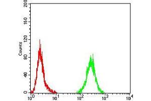 Flow cytometric analysis of Hela cells using PLCG1 mouse mAb (green) and negative control (red).