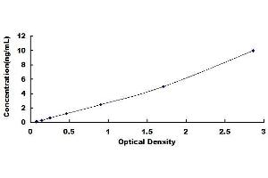Typical standard curve