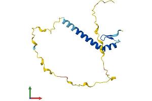 AlphaFold protein structure predicition of Human Recombinant SNRPC Protein, UniprotID P09234