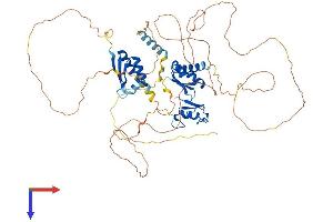 AlphaFold protein structure predicition of Mouse Recombinant Mex3d Protein, UniprotID Q3UE17