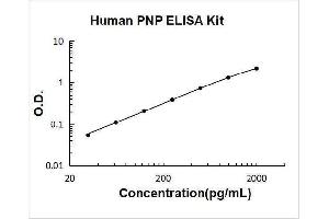 Purine Nucleoside Phosphorylase (PNP) ELISA Kit