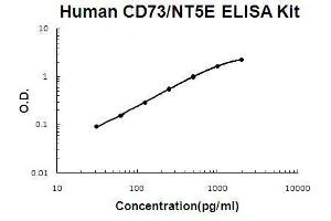 Human CD73 PicoKine ELISA Kit standard curve (CD73 Kit ELISA)