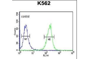 SE6L2 Antibody (C-term) (ABIN651130 and ABIN2840088) flow cytometric analysis of K562 cells (right histogram) compared to a negative control cell (left histogram). (SEZ6L2 anticorps  (C-Term))
