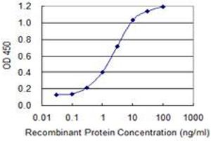 Detection limit for recombinant GST tagged TCF7 is 0. (TCF7 anticorps  (AA 287-384))