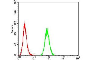 Flow cytometric analysis of Hela cells using ATPIF1 mouse mAb (green) and negative control (red).