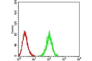 anti-Interleukin 17 Receptor A (IL17RA) (AA 33-320) antibody