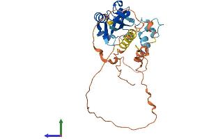 AlphaFold protein structure predicition of Mouse Recombinant Isg20 Protein, UniprotID Q9JL16