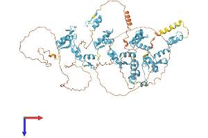 AlphaFold protein structure predicition of Human Recombinant ZNF786 Protein, UniprotID Q8N393