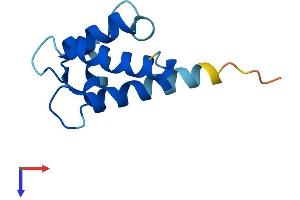 AlphaFold protein structure predicition of Human Recombinant S100A2 Protein, UniprotID P29034