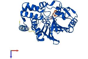 AlphaFold protein structure predicition of Mouse Recombinant Ppp2cb Protein, UniprotID P62715
