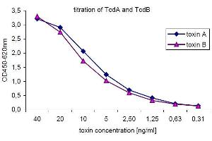 Typical titration curve generated with the recombinant standard toxins. (Clostridium Difficile Toxin A Or B Kit ELISA)