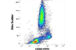 Flow cytometry surface staining pattern of human peripheral whole blood stained using anti-human CD93 (VIMD2) FITC antibody (4 μL reagent / 100 μL of peripheral whole blood). (CD93 anticorps  (FITC))