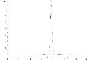 NKG2A & CD94 (AA 100-219) protein (Fc Tag,DYKDDDDK Tag)