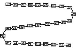 Glucagon (GCG) (AA 1-29) peptide