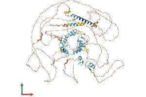AlphaFold protein structure predicition of Human Recombinant SALL2 Protein, UniprotID Q9Y467