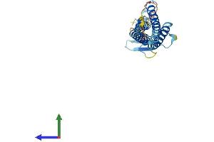 AlphaFold protein structure predicition of Human Recombinant CLDN7 Protein, UniprotID O95471