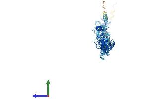 AlphaFold protein structure predicition of Human Recombinant LIMS2 Protein, UniprotID Q7Z4I7