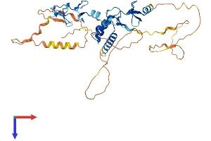 AlphaFold protein structure predicition of Mouse Recombinant Lhx9 Protein, UniprotID Q9WUH2