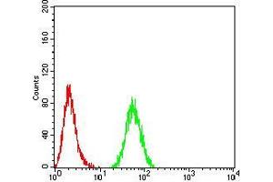 Flow cytometric analysis of HeLa cells using PMS2 mouse mAb (green) and negative control (red).