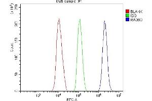 Flow Cytometry analysis of HEPA1-6 cells using anti-Rad9b antibody (ABIN7599360).