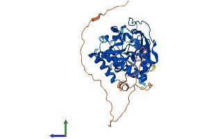 AlphaFold protein structure predicition of Mouse Recombinant Itpk1 Protein, UniprotID Q8BYN3