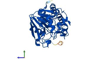 AlphaFold protein structure predicition of Human Recombinant PPP6C Protein, UniprotID O00743