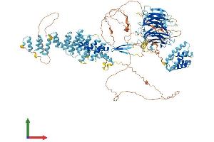 AlphaFold protein structure predicition of Human Recombinant SEC31B Protein, UniprotID Q9NQW1