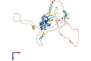 AlphaFold protein structure predicition of Human Recombinant SOCS5 Protein, UniprotID O75159