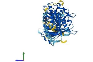AlphaFold protein structure predicition of Human Recombinant ACOT12 Protein, UniprotID Q8WYK0