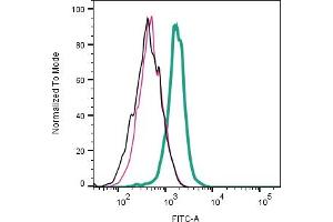 Cell surface detection of α2B-Adrenoreceptor by indirect flow cytometry in live intact mouse WEHI B-cell lymphoma cell line: + goat-anti-rabbit-FITC.