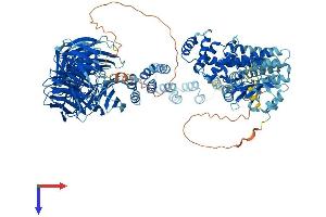 AlphaFold protein structure predicition of Human Recombinant IFT122 Protein, UniprotID Q9HBG6
