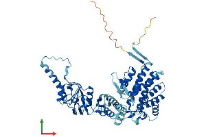 AlphaFold protein structure predicition of Human Recombinant CCT3 Protein, UniprotID P49368