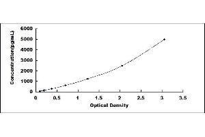 Typical standard curve (GDNF Kit ELISA)