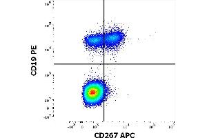 Flow cytometry multicolor surface staining pattern of human lymphocytes using anti-human CD267 (1A1) APC antibody (10 μL reagent / 100 μL of peripheral whole blood) and anti-human CD19 (LT19) PE antibody (20 μL reagent / 100 μL of peripheral whole blood) antibody.