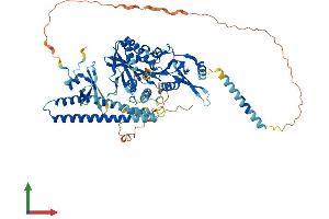 AlphaFold protein structure predicition of Mouse Recombinant Kif2a Protein, UniprotID P28740