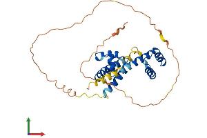 AlphaFold protein structure predicition of Mouse Recombinant Pou1f1 Protein, UniprotID Q00286