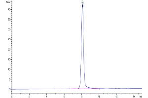 The purity of Human EPHA2 is greater than 95 % as determined by SEC-HPLC.
