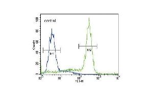 ST Antibody (C-term) (ABIN392001 and ABIN2841786) flow cytometric analysis of HepG2 cells (right histogram) coared to a negative control cell (left histogram). (MPST anticorps  (C-Term))