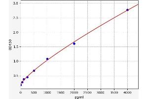Complement Component 5a (C5a) ELISA Kit
