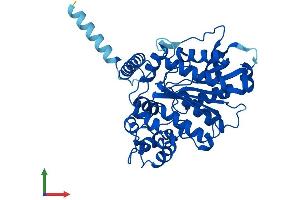 AlphaFold protein structure predicition of Human Recombinant NCEH1 Protein, UniprotID Q6PIU2