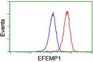 Flow cytometric analysis of Jurkat cells with EFEMP1 monoclonal antibody, clone 1D9  (Red). (FBLN3 anticorps)