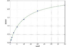 Apolipoprotein D (APOD) ELISA Kit