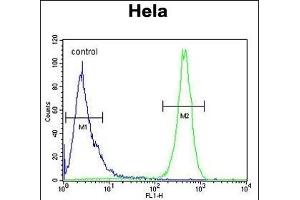 Beclin1-BH3 Domain Antibody (ABIN652595 and ABIN2842399) flow cytometric analysis of Hela cells (right histogram) compared to a negative control cell (left histogram).